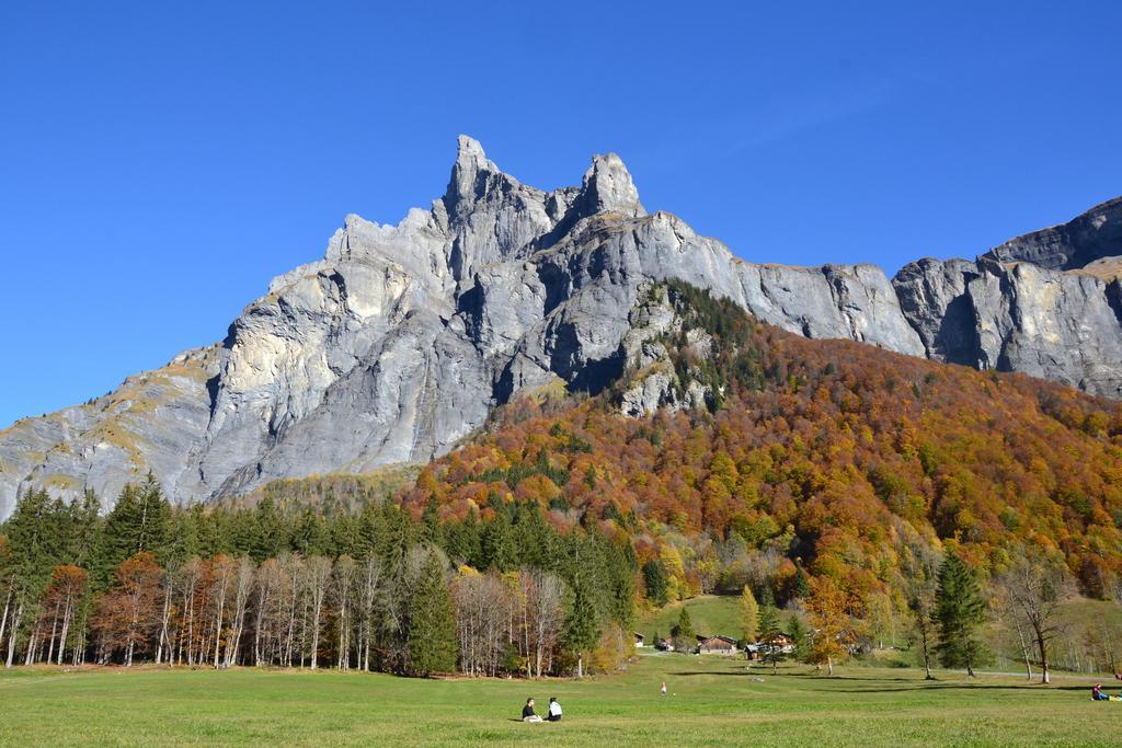 Chalet Narcisse Sixt Eksteriør billede