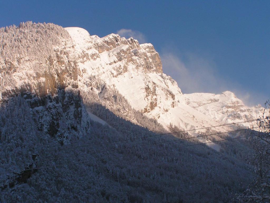 Chalet Narcisse Sixt Værelse billede