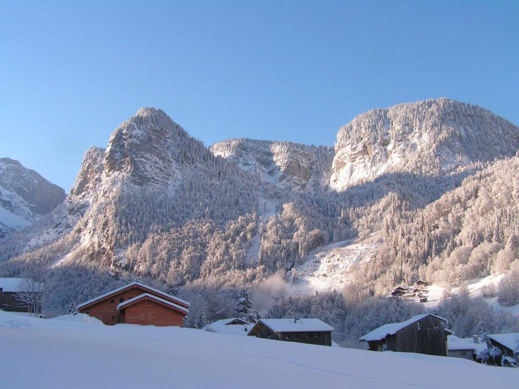 Chalet Narcisse Sixt Værelse billede