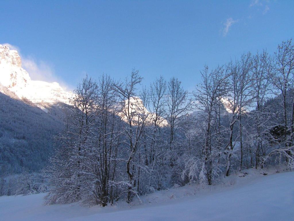 Chalet Narcisse Sixt Værelse billede